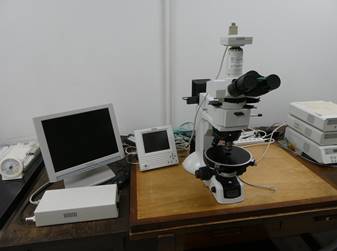 P1030691